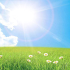 Solar Power